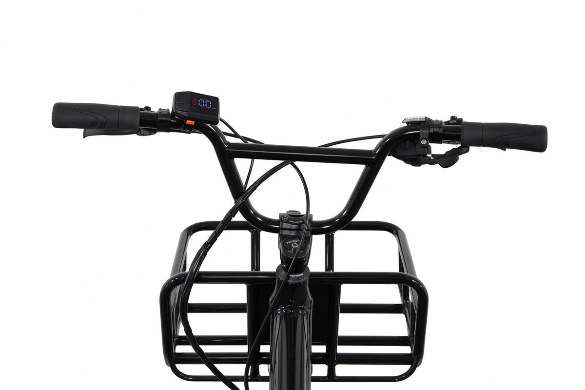Mondello 20" Longtail